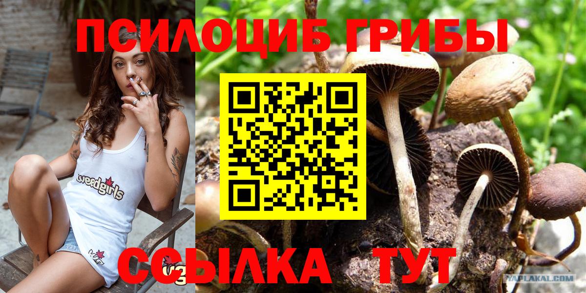 Псилоцибиновые грибы MAGIC MUSHROOMS Саратов